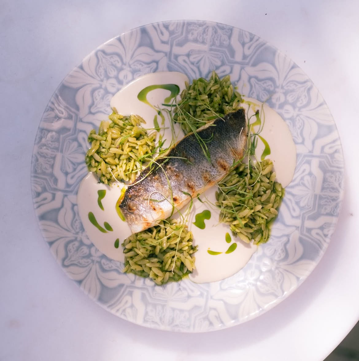 Fish with green orzo and a creamy sauce on a patterned plate at Zula Bistro